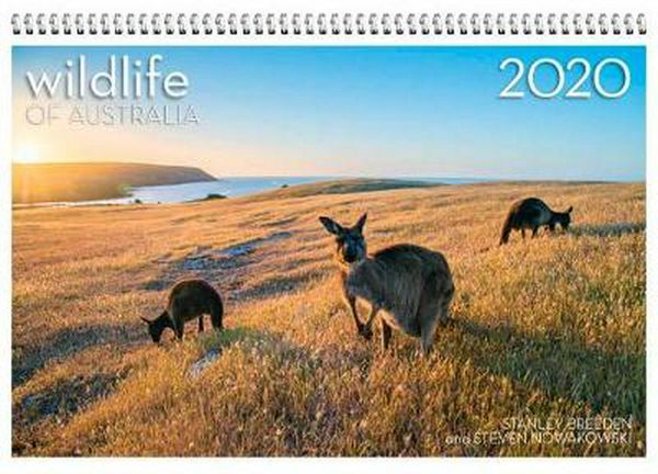 Cover Art for 9780648473022, Wildlife of Australia 2020 Wall Calendar by Steven Nowakowski