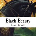 Cover Art for 9781499568806, Black Beauty by Anna Sewell