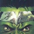 Cover Art for 9780785128045, Hulk by Hachette Australia