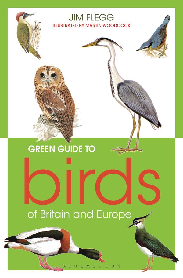Cover Art for 9781472927118, Green Guide to Birds of Britain and Europe by Jim Flegg