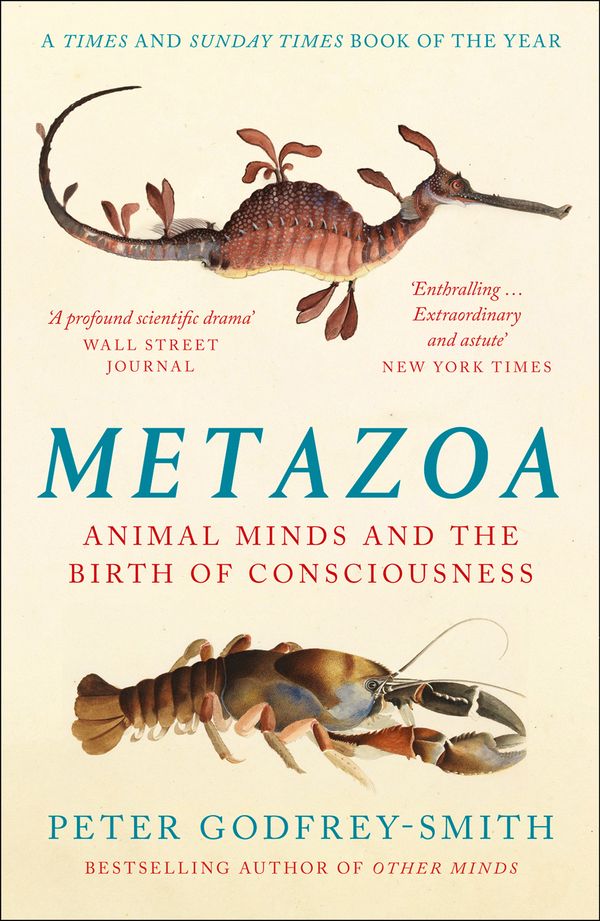 Cover Art for 9780008321239, Metazoa by Peter Godfrey-Smith