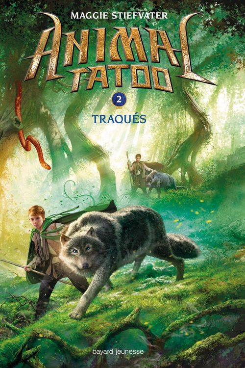 Cover Art for 9782747061193, Traques by Maggie Stiefvater