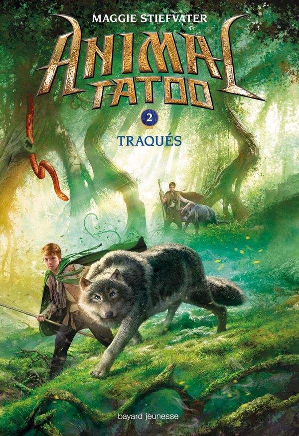 Cover Art for 9782747061193, Traques by Maggie Stiefvater