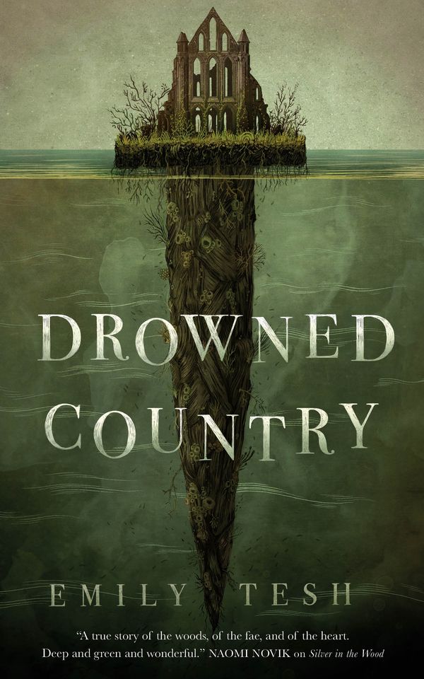 Cover Art for 9781250756602, Drowned Country by Emily Tesh