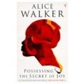 Cover Art for 9780099268819, Possessing the Secret of Joy by Alice Walker