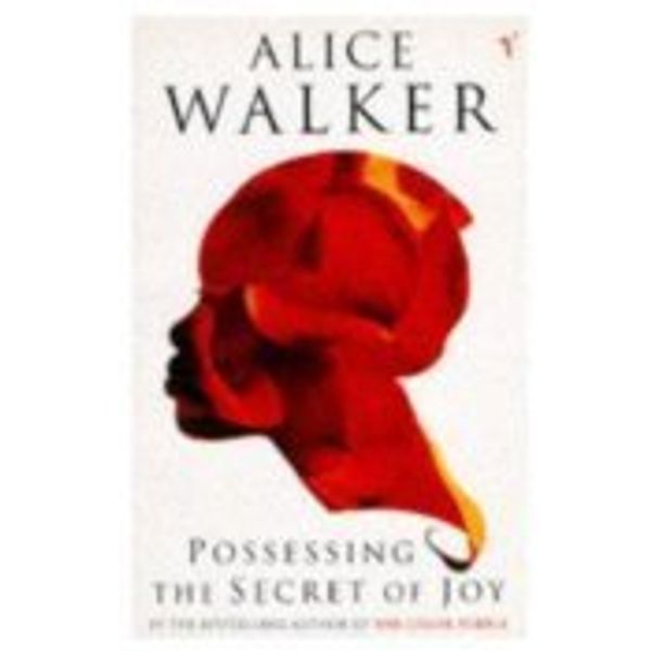 Cover Art for 9780099268819, Possessing the Secret of Joy by Alice Walker