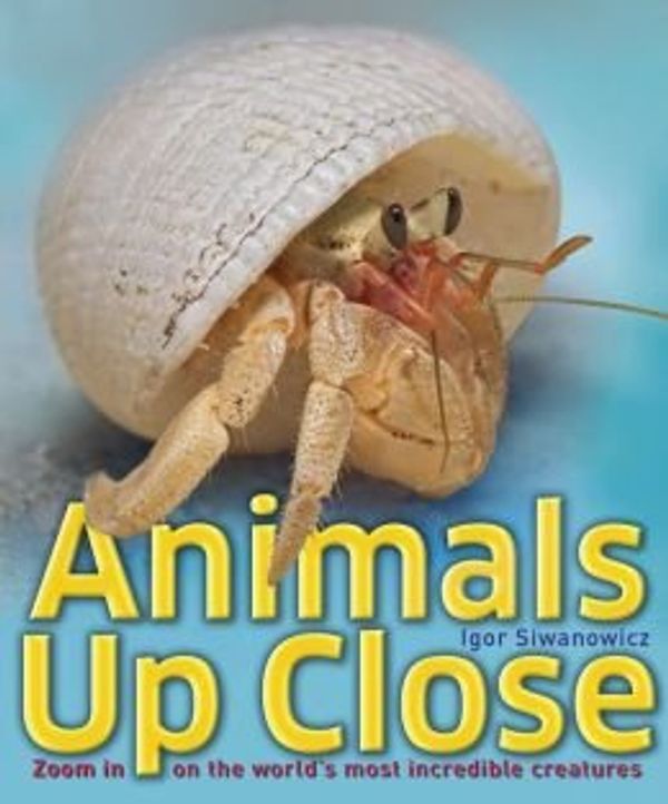 Cover Art for 9781435156203, Animals Up Close by Dorling Kindersley (DK)