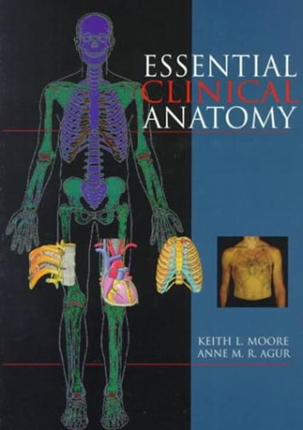 Cover Art for 8580000773248, Essential Clinical Anatomy by Keith L. Moore