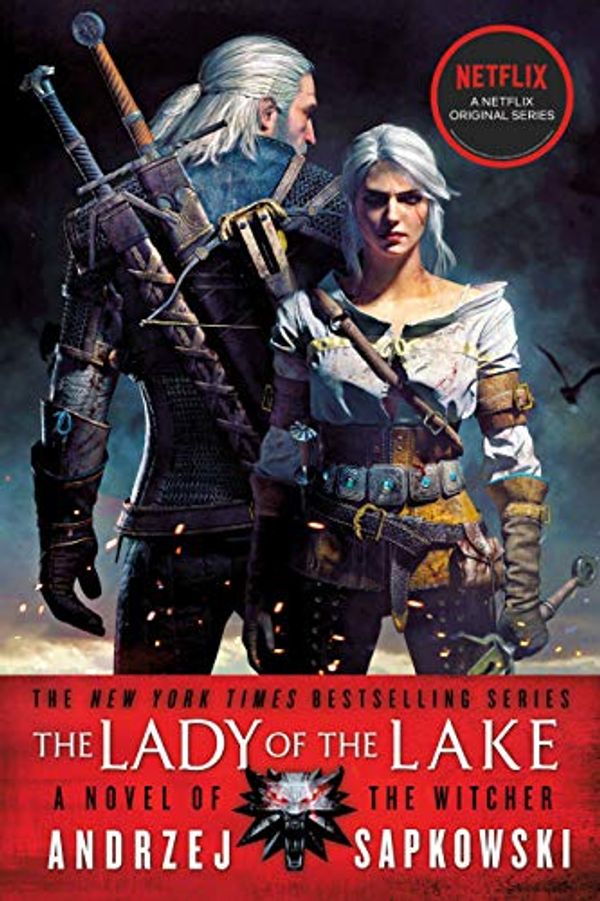 Cover Art for B01LL8BU6M, The Lady of the Lake (The Witcher Book 5) by Andrzej Sapkowski
