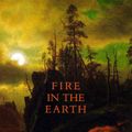 Cover Art for 9780962152429, Fire in the Earth by David Whyte