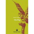Cover Art for 9788533613690, Skellig by David Almond
