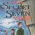 Cover Art for 9780340569894, Puzzle for the Secret Seven by Enid Blyton