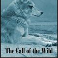 Cover Art for 1230000094574, The Call of the Wild by Jack London