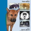 Cover Art for 9780905214726, BSAVA Manual of Canine and Feline Endocrinology by Mark Peterson