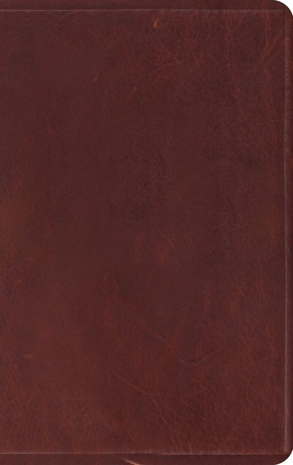 Cover Art for 9781433557729, ESV Thinline Bible by Crossway
