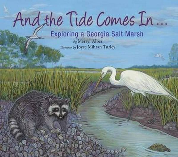 Cover Art for 9780981770055, And the Tide Comes In... by Merryl Alber