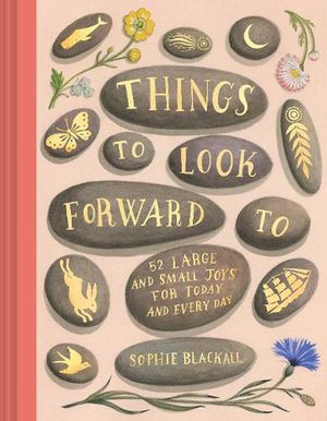 Cover Art for 9781797214481, Things to Look Forward To by Sophie Blackall