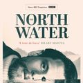 Cover Art for 9781398511736, The North Water by Ian McGuire