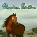 Cover Art for 9780061890222, Phantom Stallion #18: Firefly by Terri Farley