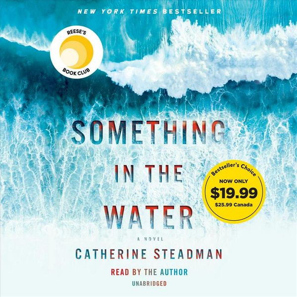 Cover Art for 9780593105078, Something in the Water by Catherine Steadman