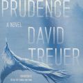 Cover Art for 9781481504195, Prudence by David Treuer