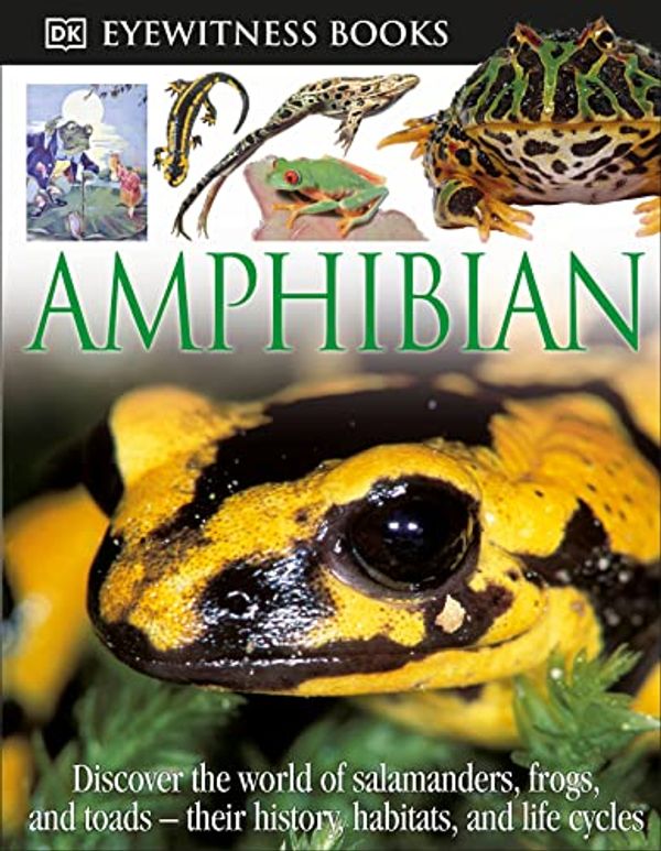 Cover Art for 0690472013808, Amphibian by Barry Clarke