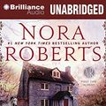 Cover Art for 9781480511200, Dark Witch by Nora Roberts