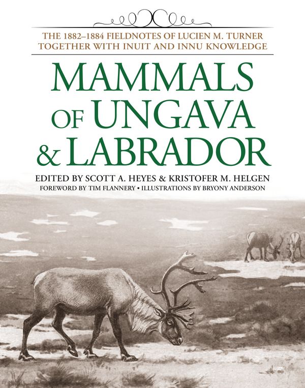 Cover Art for 9781935623212, Mammals Of Ungava And Labrador by Lucien M. Turner