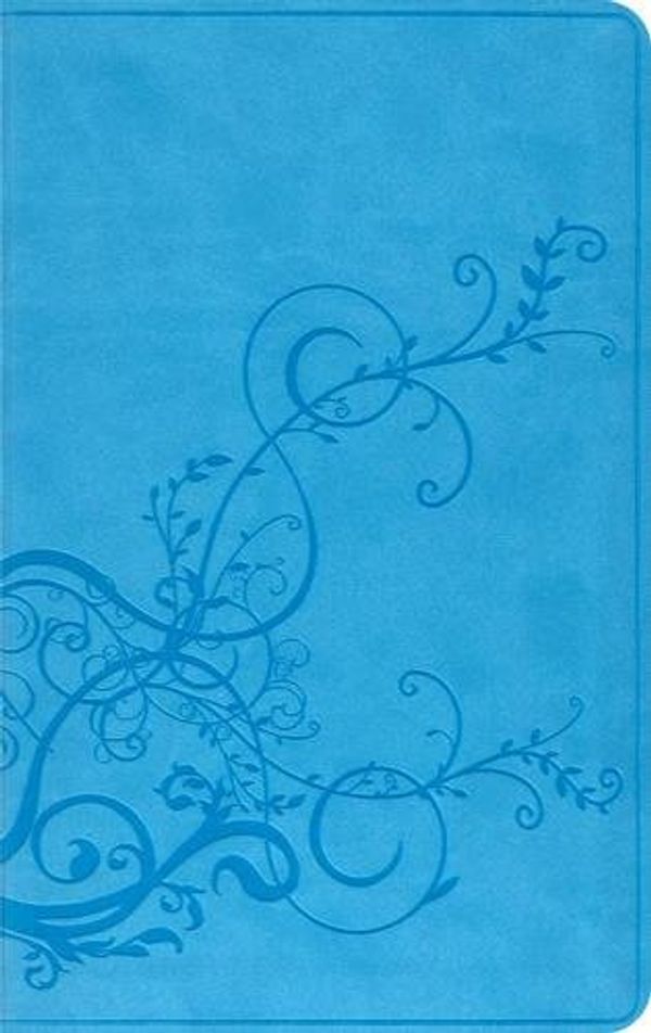 Cover Art for 9781433503740, Thinline Bible-ESV by Crossway Bibles