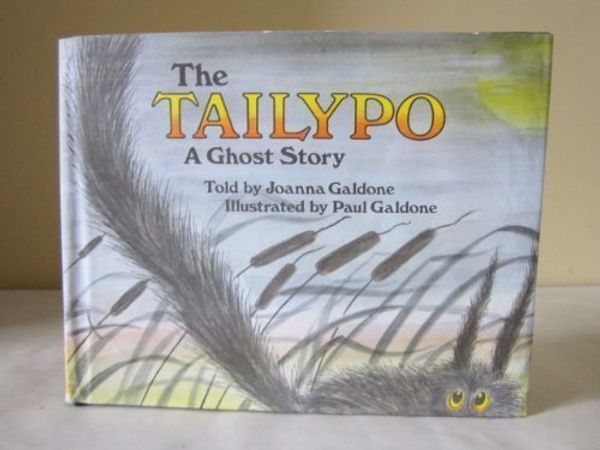 Cover Art for 9780816431915, The tailypo: A ghost story by Joanna Galdone