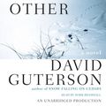 Cover Art for 9780739328873, The Other by David Guterson