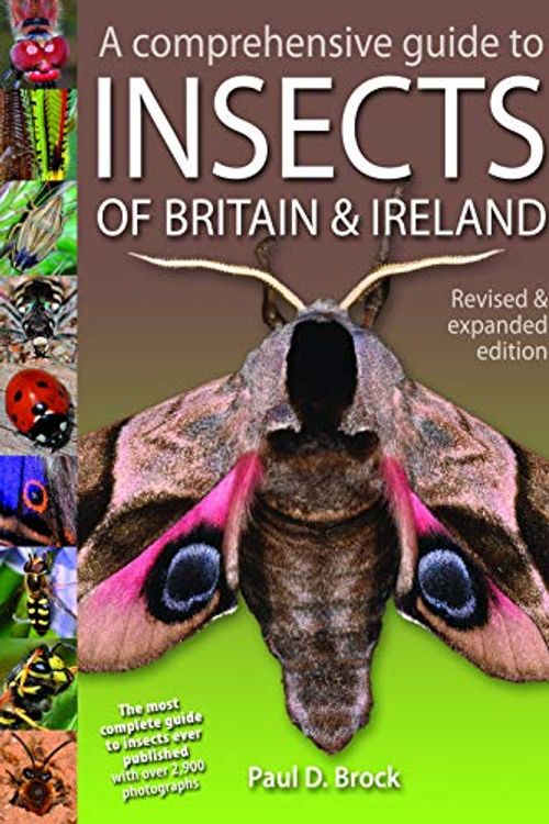 Cover Art for 9781874357902, A Comprehensive Guide to Insects of Britain and Ireland by Paul D. Brock