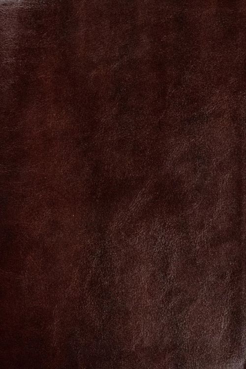 Cover Art for 9781636641898, Legacy Standard Bible, Inside Column Reference Paste-Down Reddish-Brown Faux Leather (LSB) by Legacy Standard Bible