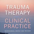 Cover Art for B00JMEIYGC, EBOOK: Trauma Therapy and Clinical Practice: Neuroscience, Gestalt and the Body (UK Higher Education OUP  Humanities & Social Sciences Counselling and Psychotherapy) by Miriam Taylor