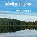 Cover Art for 9781555814847, Infections of Leisure by David Schlossberg
