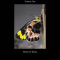 Cover Art for 9780643100770, Butterflies of Australia: Their Identification, Biology and Distribution by Michael F. Braby