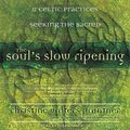 Cover Art for B07PGKHRH9, The Soul’s Slow Ripening: 12 Celtic Practices for Seeking the Sacred by Christine Valters Paintner