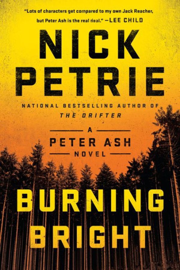 Cover Art for 9780399174575, Burning Bright by Nick Petrie