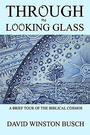 Cover Art for 9781034810964, Through the Looking Glass by David Winston Busch