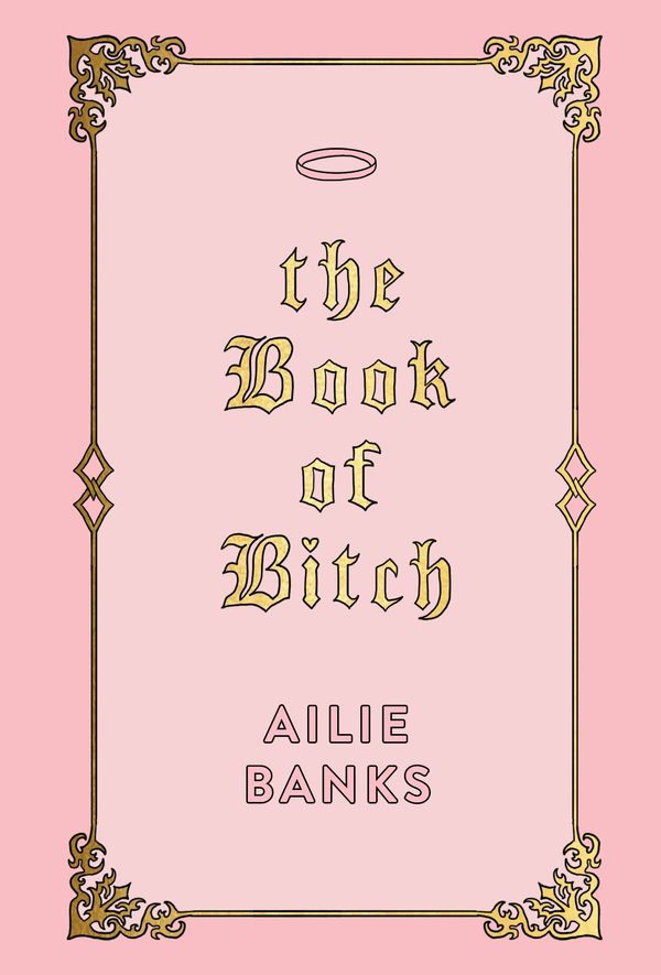 Cover Art for 9781760529659, The Book of Bitch by Ailie Banks