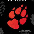 Cover Art for 9780702306617, Linger by Maggie Stiefvater
