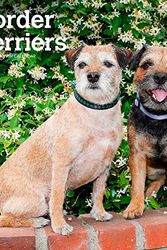 Cover Art for 9781975467807, Border Terriers | 2024 12 x 24 Inch Monthly Square Wall Calendar | BrownTrout | Animals Dog Breeds by Publishers Inc., BrownTrout