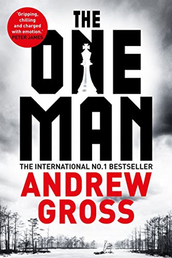 Cover Art for B01H6GKDI4, The One Man by Andrew Gross