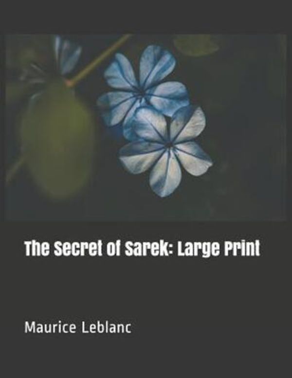 Cover Art for 9781098909581, The Secret of Sarek by Maurice LeBlanc