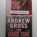 Cover Art for 9780739494509, The Dark Tide by Andrew Gross