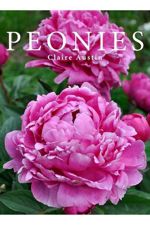 Cover Art for 9780993164736, Peonies by Claire Austin