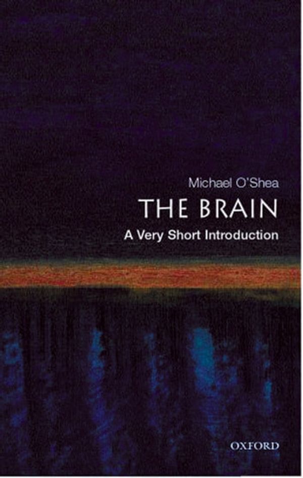 Cover Art for 9780191578359, The Brain: A Very Short Introduction by Michael O'Shea