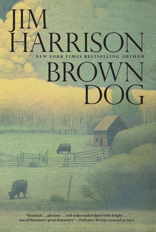 Cover Art for 9780802193001, Brown Dog: Novellas by Jim Harrison