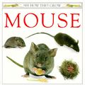 Cover Art for 9780525673576, Burton Jane Watts : Mouse by Barrie Watts