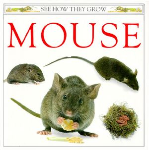 Cover Art for 9780525673576, Burton Jane Watts : Mouse by Barrie Watts